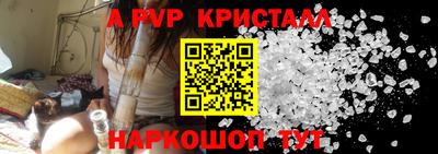 СК Кингисепп