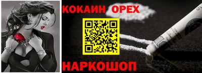 СК Кингисепп