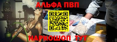 СК Кингисепп